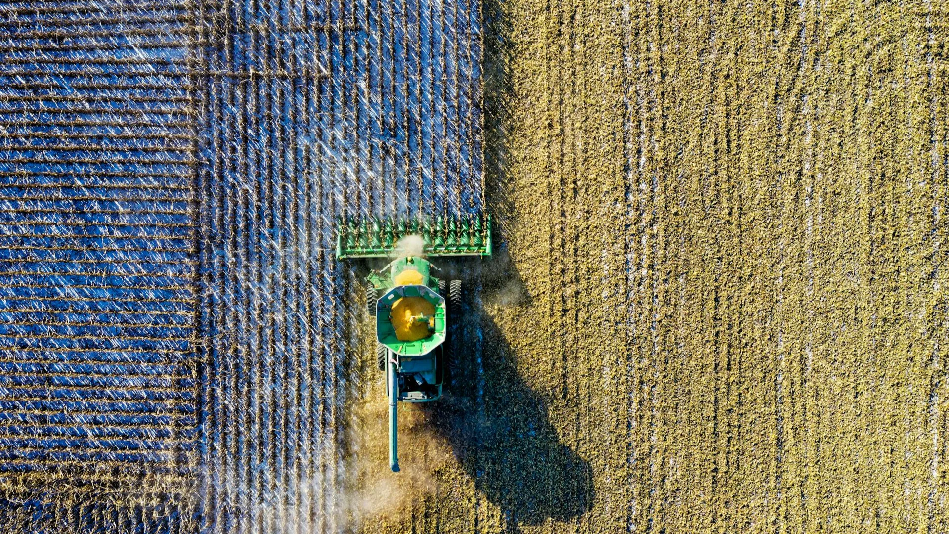 agriculture market research in sea